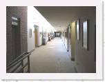 2006-010 * 800 x 600 * (163KB)